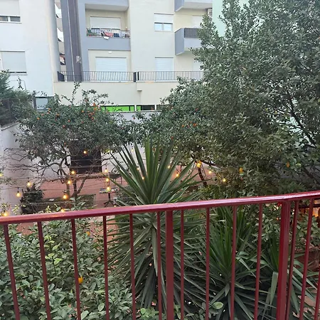 Small Boutique & Garden * 地拉那