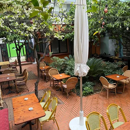 Small Boutique & Garden * Tiran