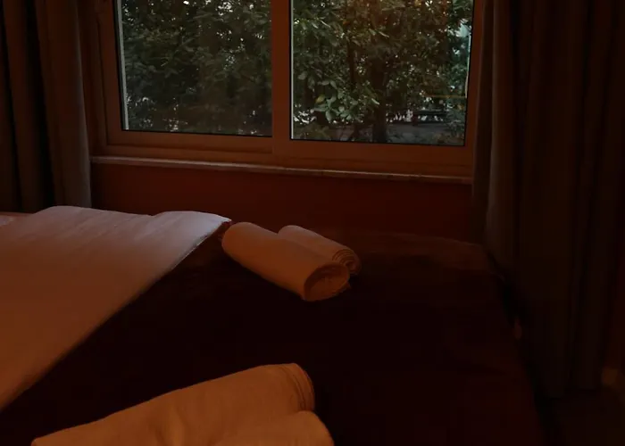 Small Boutique & Garden * 地拉那